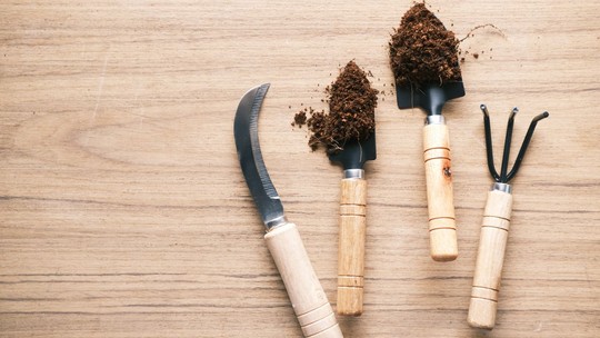 7 kits de jardinagem para cuidar do seu jardim