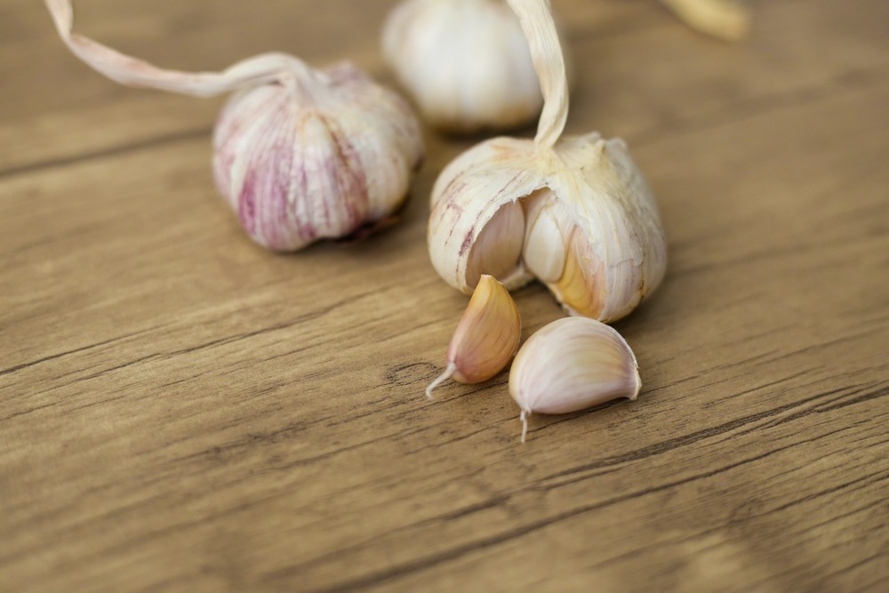 4 benefícios que só o alho garante às plantas