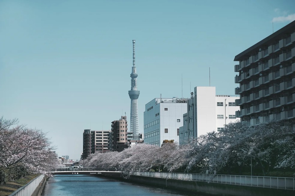 Tóquio é o cenário principal das obras de Murakami — Foto: Pexels