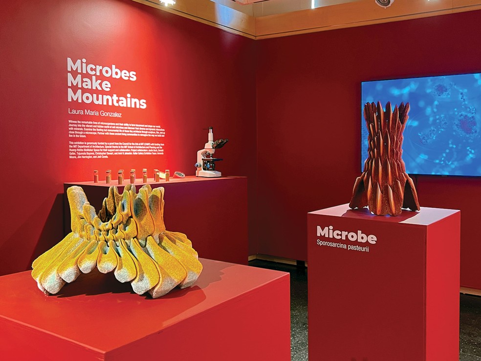 Designer cria biocimento sustentável a partir de micróbios — Foto: Laura Maria Gonzalez