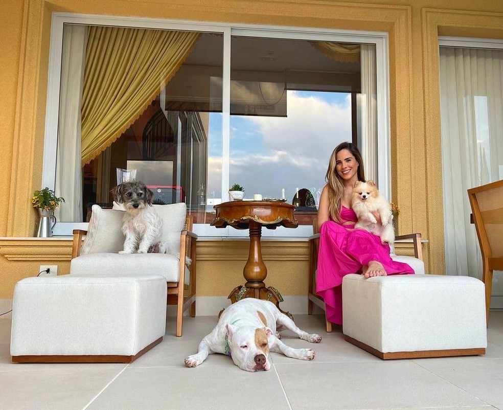 Wanessa Camargo posa com os cachorros na mansão em que vive fora do BBB 24 — Foto: Reprodução/Youtube e Instagram