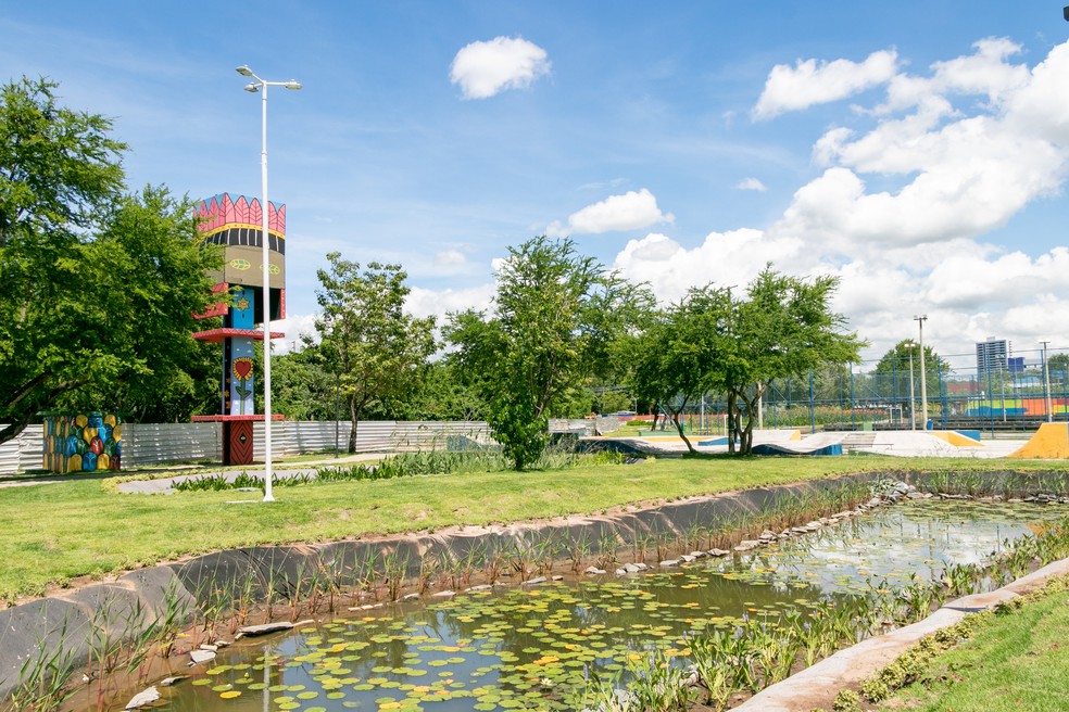 Jardim filtrante de 7 mil m² é implantado para despoluir riacho em Recife; conheça  — Foto: Giselle Cahú 