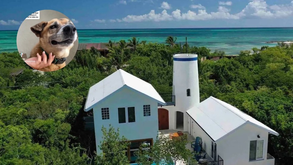 Airbnb em ilha britânica que tem cachorro como host viraliza nas redes sociais — Foto: Divulgação/Airbnb e Reprodução/TikTok @notalabamahannah