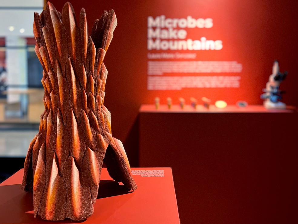 O biocimento está em exibição no Keller Gallery do MIT, em uma exposição chamada Microbes Make Mountains — Foto: Laura Maria Gonzalez