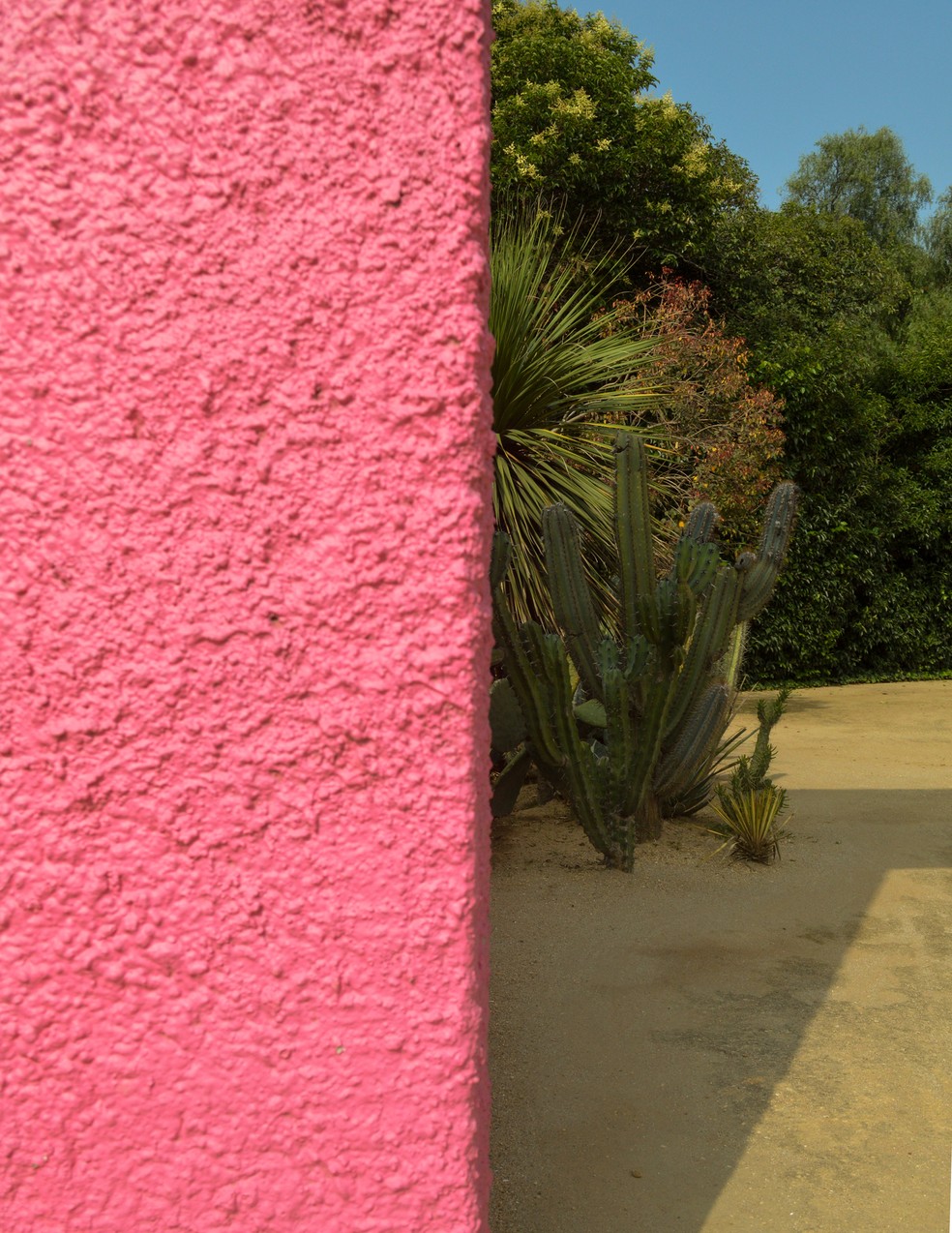 A importância da cor rosa na arquitetura e design latino-americanos
