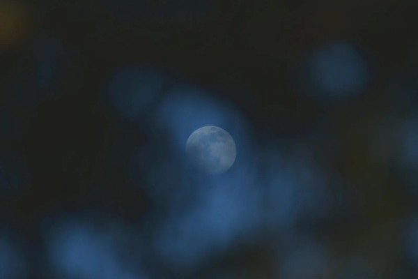 Fases da Lua: por que são tão importantes e quais rituais podem ser ...