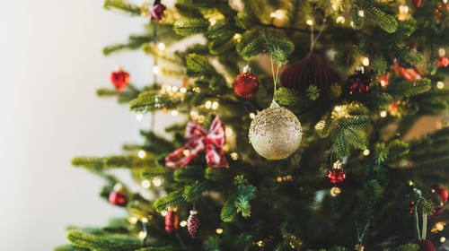 Qual o dia certo para montar a árvore de Natal em 2023?