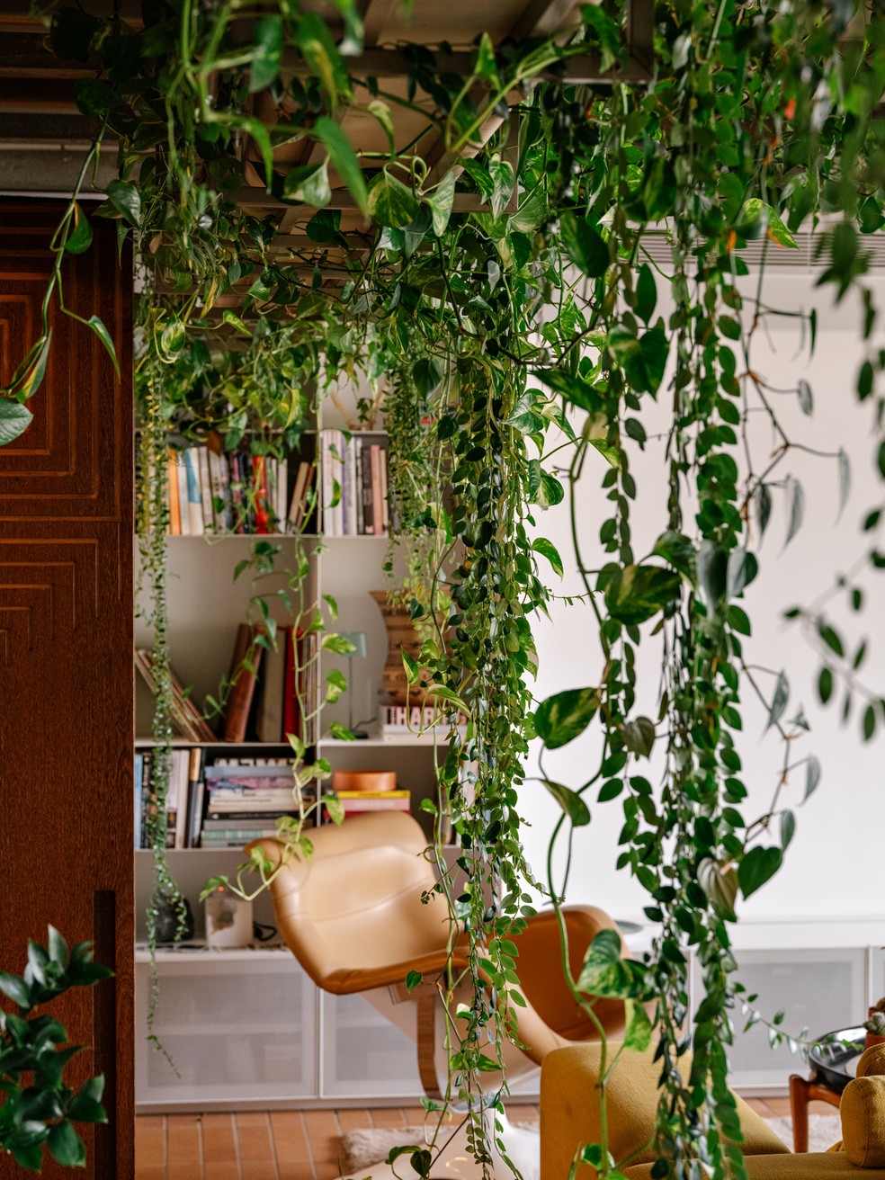 A casa de Guto Requena se apoia em diversas tecnologias digitais para gerenciar o cuidado com as plantas — Foto: Fran Parente