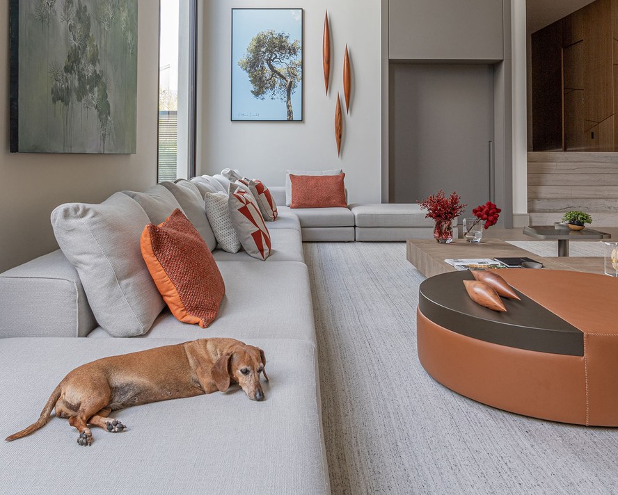 Tapetes, tecidos e acabamentos ideais para quem tem cães e gatos em casa