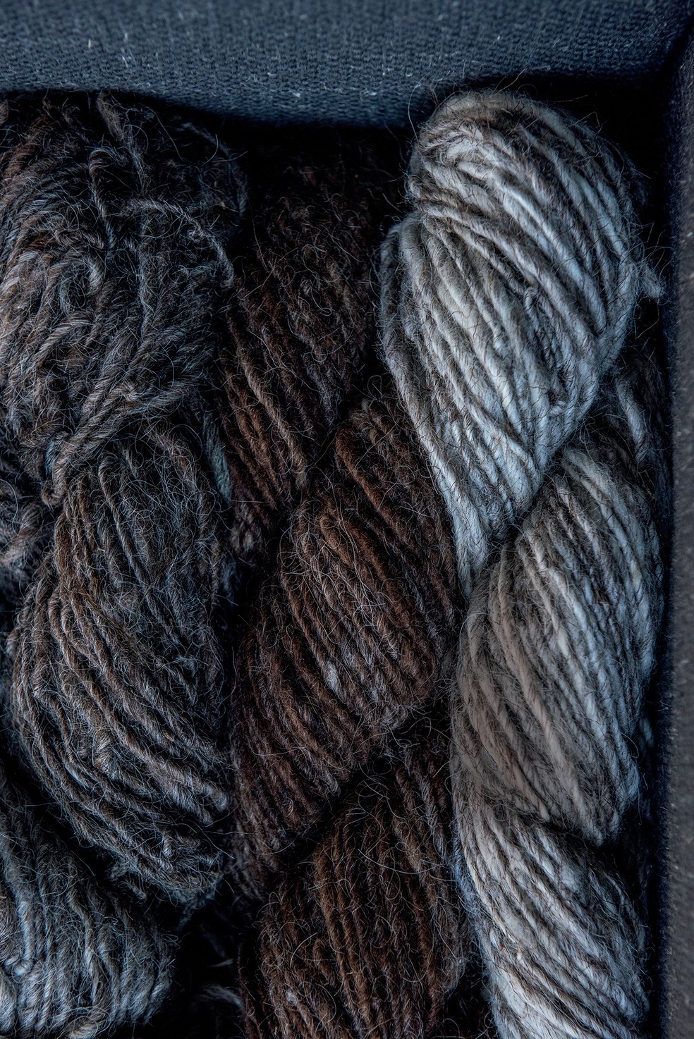 Diferentes matizes da lã naturalmente colorida, típica das ovelhas caracul — Foto: Letícia Remião