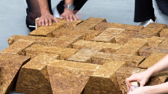 Pesquisadores criam concreto feito de cana-de-açúcar