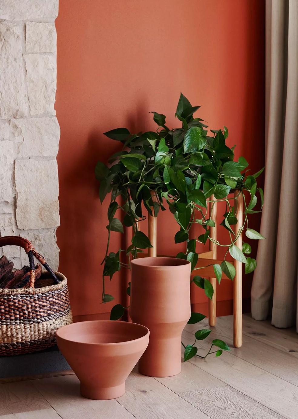 A jiboia é uma planta de sombra e gosta de umidade  — Foto: Reprodução/Pinterest