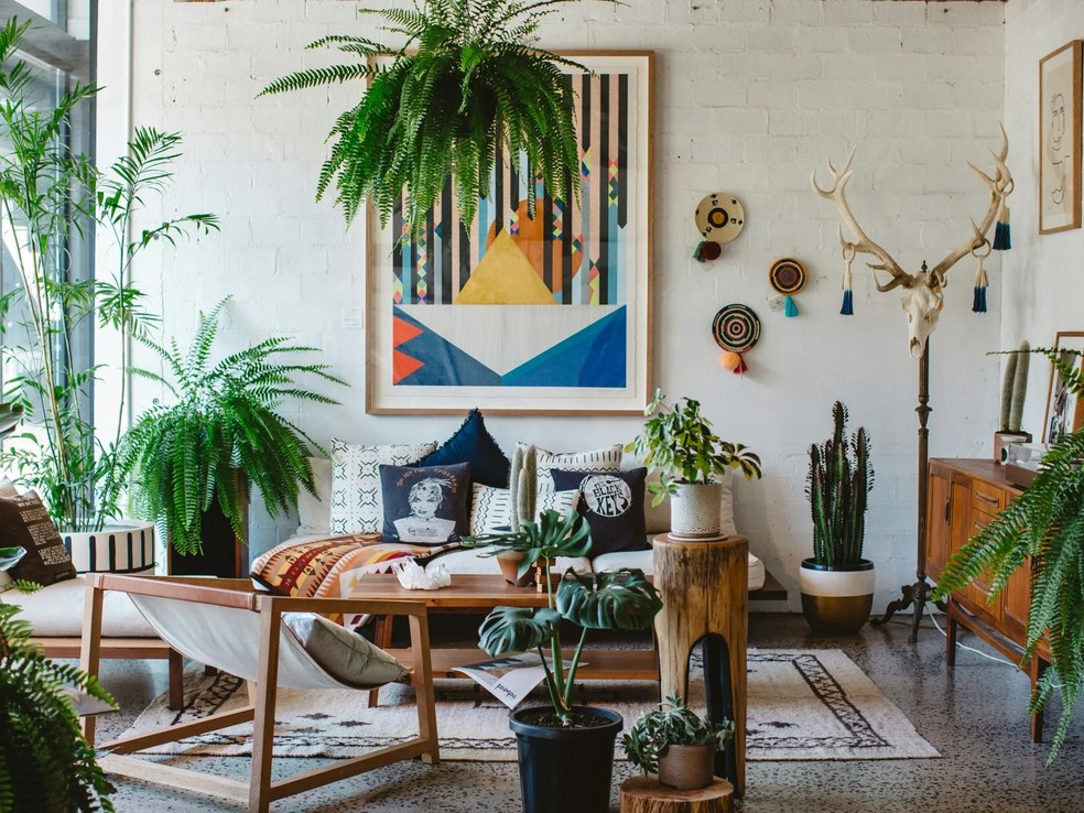 As plantas, dependendo da espécie, podem atuar como guardiãs na porta de entrada — Foto: Luisa Brimble/Unsplash