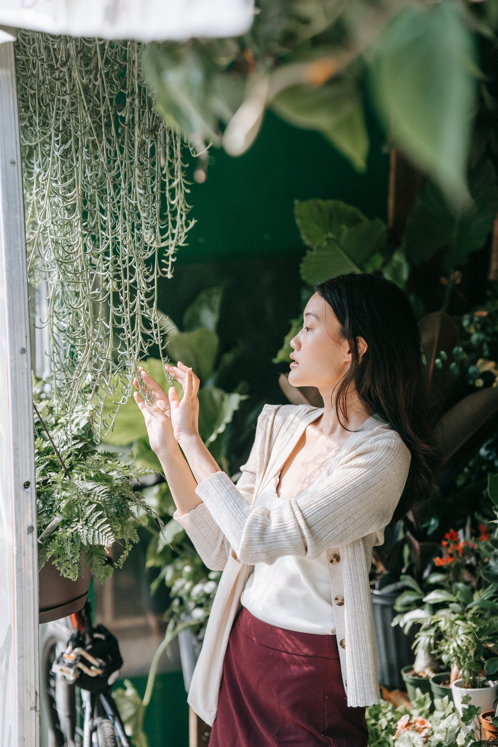5 plantas pendentes que formam lindas cortinas naturais — Foto: Sasha Kim/Pexels