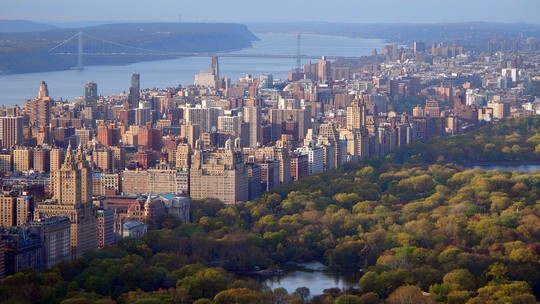 Nova York tem vegetação capaz de absorver emissões de carbono dos veículos da cidade
