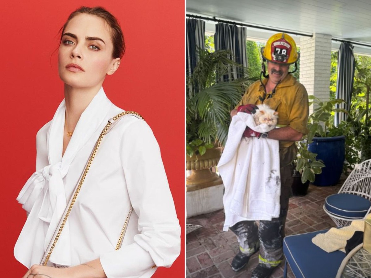 Cara Delevingne shows off saving her cats from the fire that destroyed a mansion in Los Angeles |  Celebrity homes