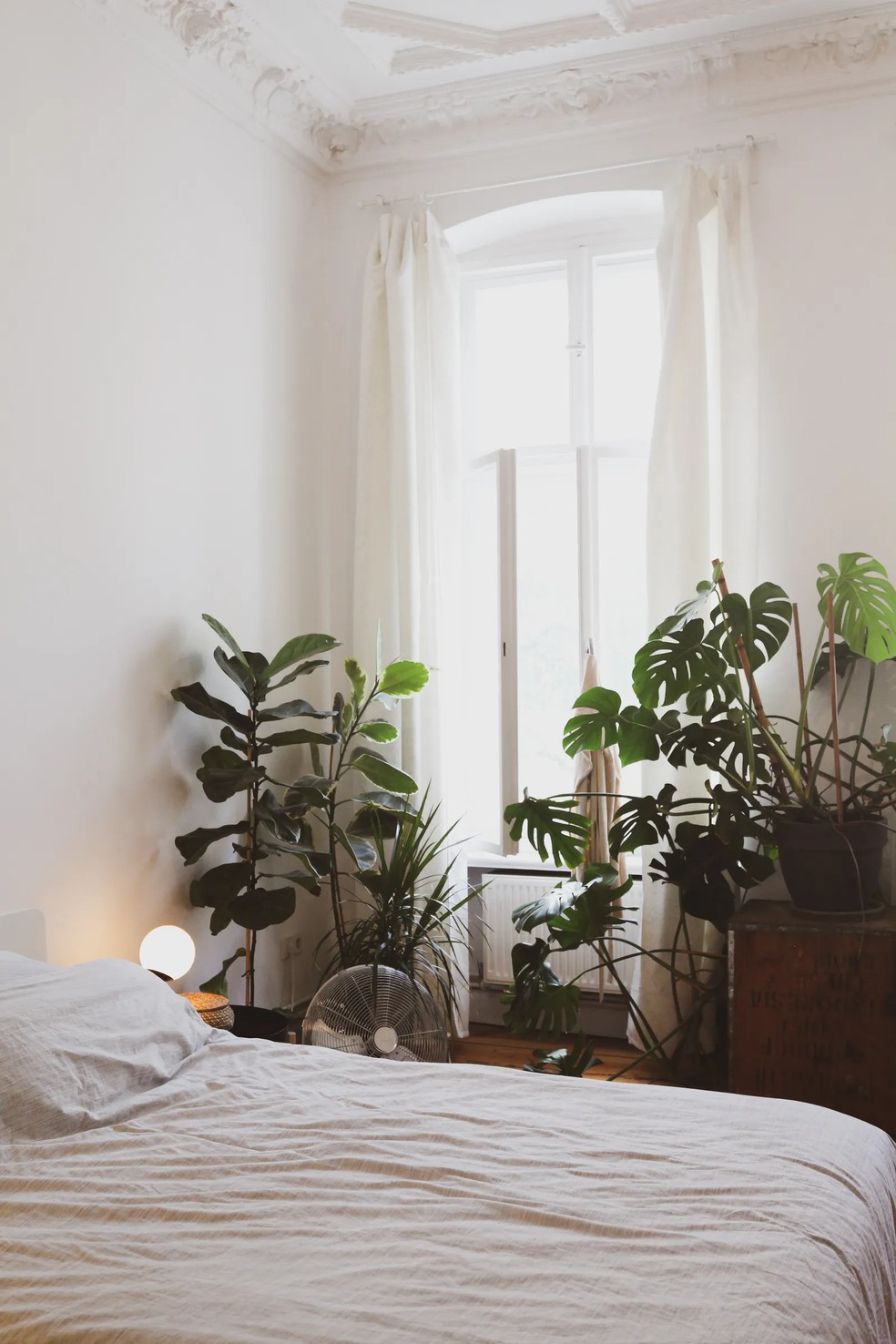 Plantas equilibradas com a energia do amor são perfeitas para o quarto — Foto: beazy/Unsplash