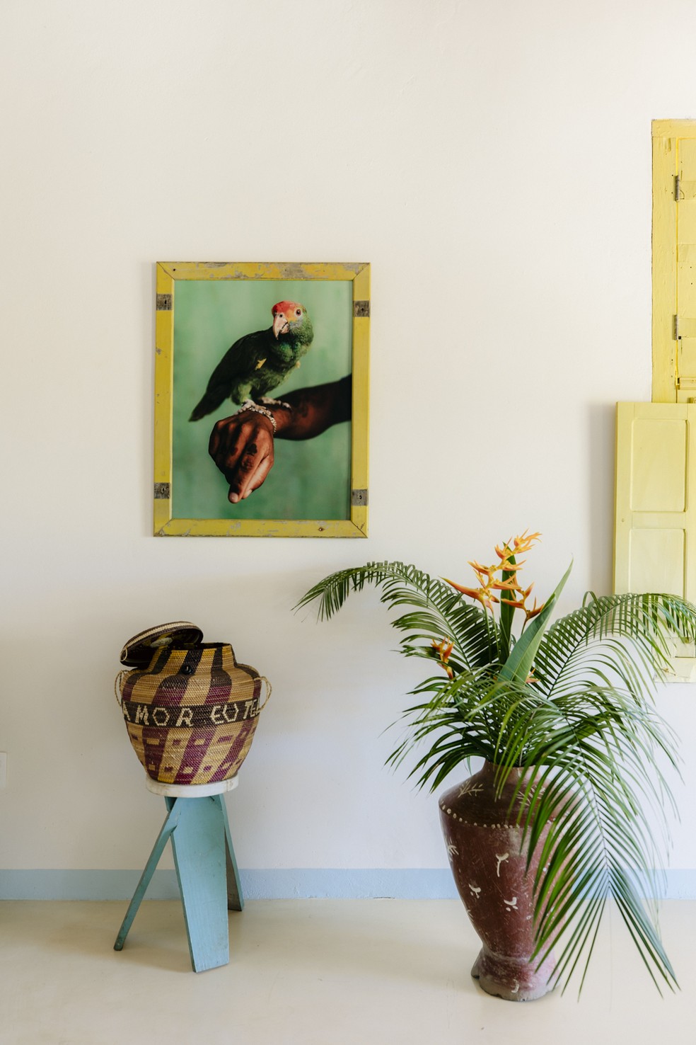 A fotografia “Lôro”, de Bruno Pinheiro, figura em uma das paredes reerguidas — Foto: Marta Tucci/divulgação