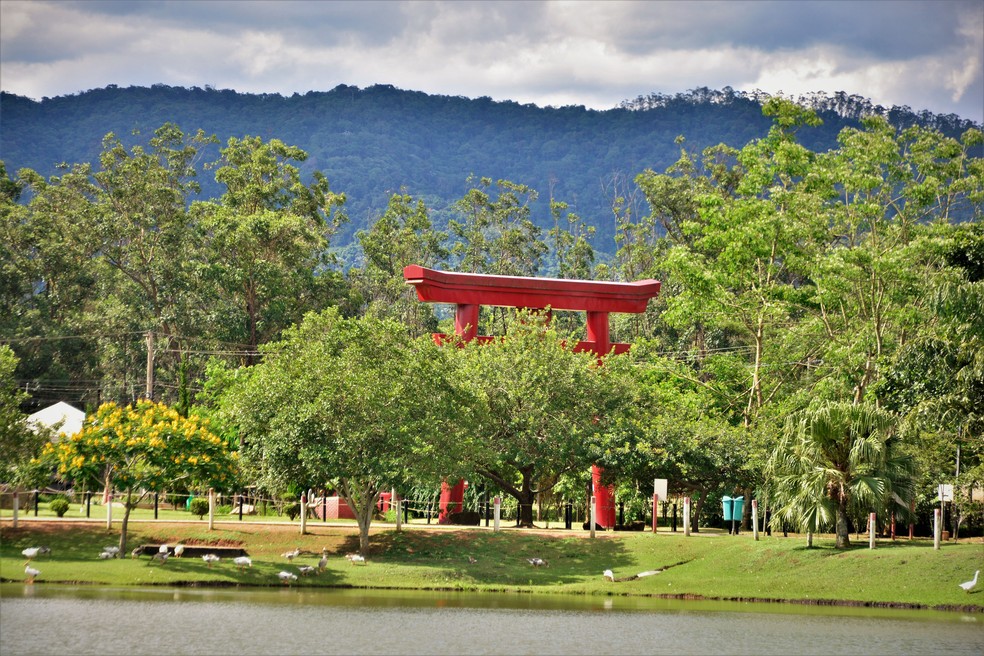 Entre as árvores um Torii do Parque Centenário de Mogi das Cruzes — Foto: Getty Images