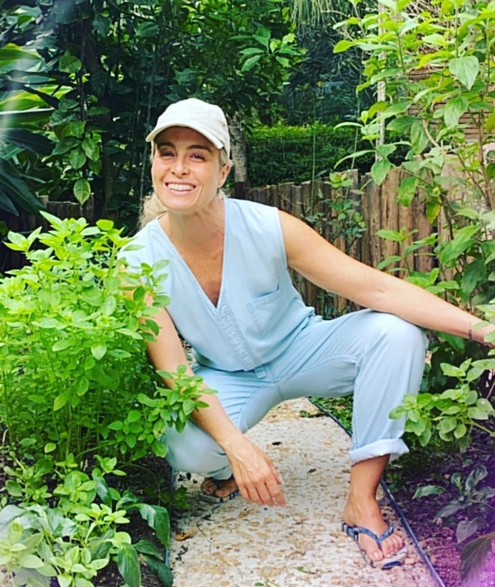 Angélica tem horta no quintal de sua casa no Rio de Janeiro — Foto: Reprodução/Instagram