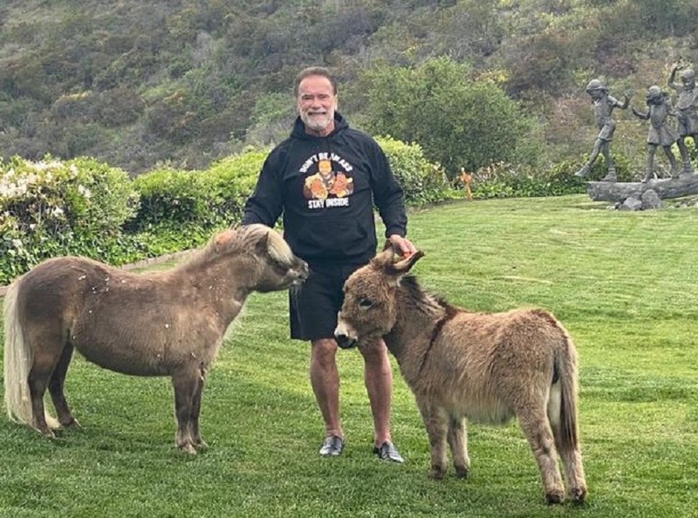 Por dentro da mansão onde Arnold Schwarzenegger convive com animais — Foto: Reprodução/Instagram