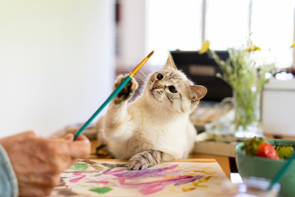 Brincadeiras que estimulem o cérebro do gato são importantes — Foto: Getty Images
