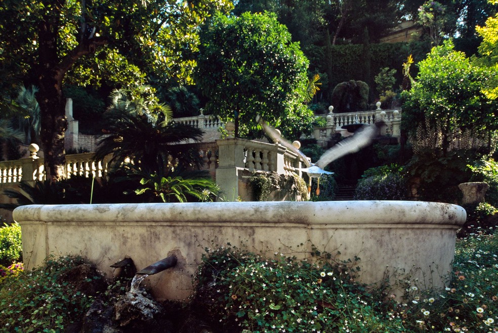 Além de roseiras, laranjeiras e pinheiros, o jardim conta com uma pequena cachoeira  — Foto: Divulgação
