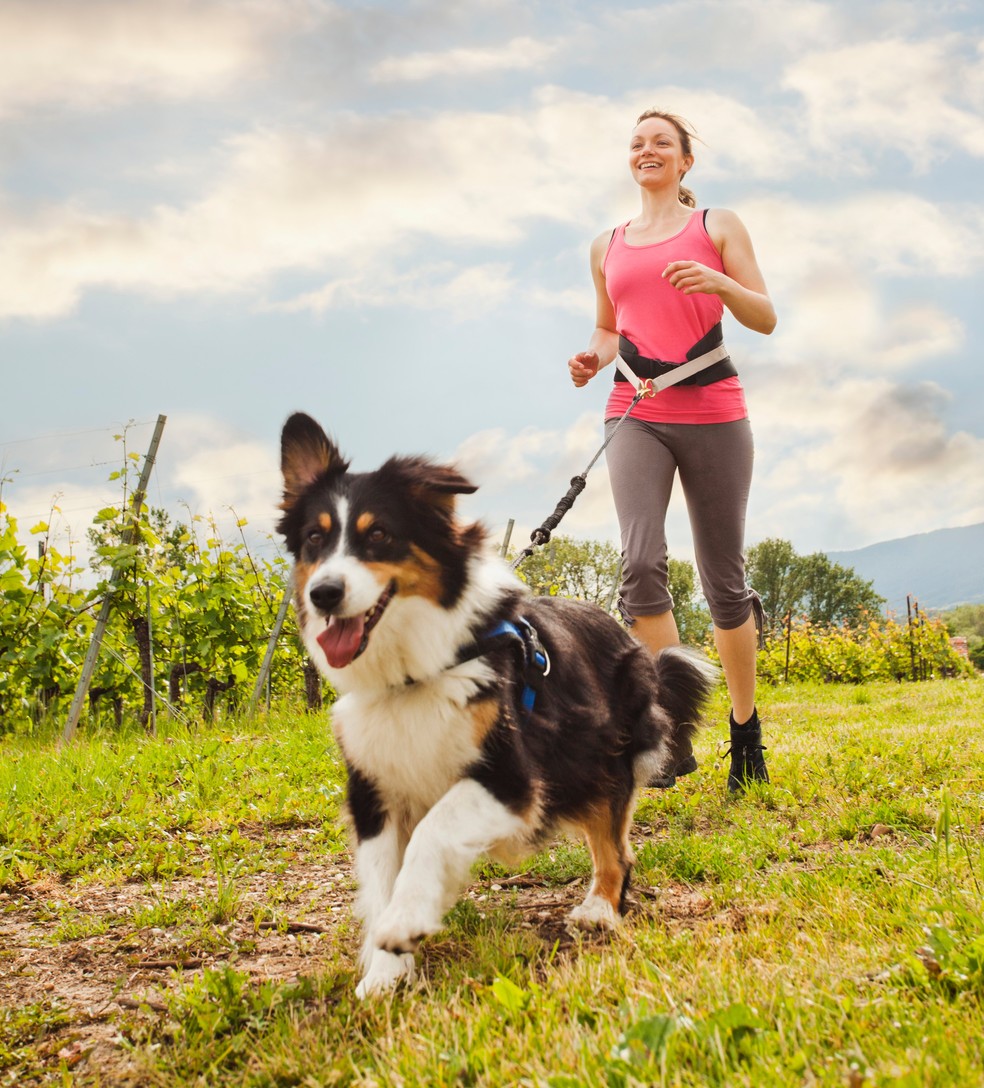 Incentivar o animal a praticar exercícios é importante — Foto: Getty Images
