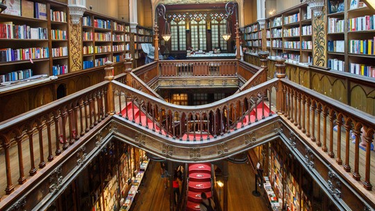 Livros 'proibidos' que estão na nova biblioteca de Dua Lipa