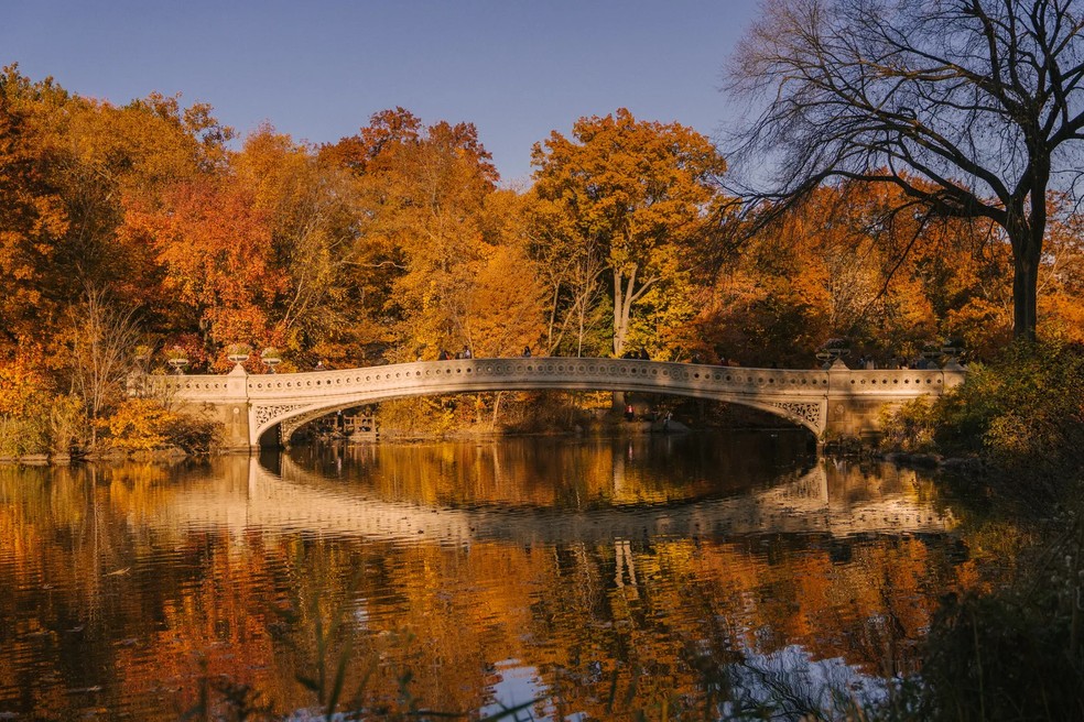 O zoológico do Central Park é um dos lugares citados nas obras de Murakami — Foto: Pexels