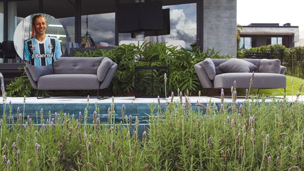 Casa de Lucas Leiva no RS tem jardim fitoterápico; saiba o que é e seus ...