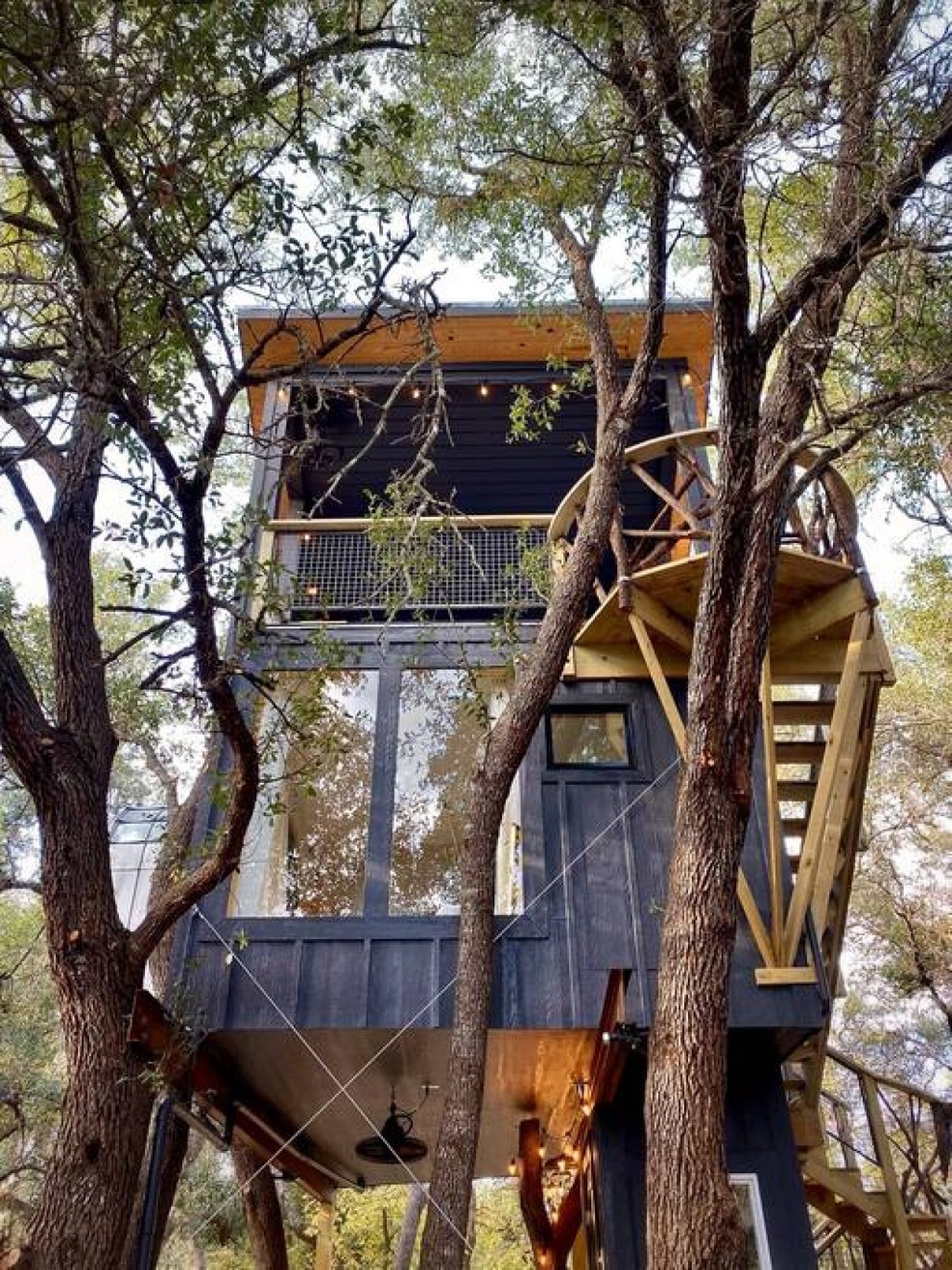 Casa na árvore vira opção de hospedagem nos EUA — Foto: Divulgação/HoneyTree