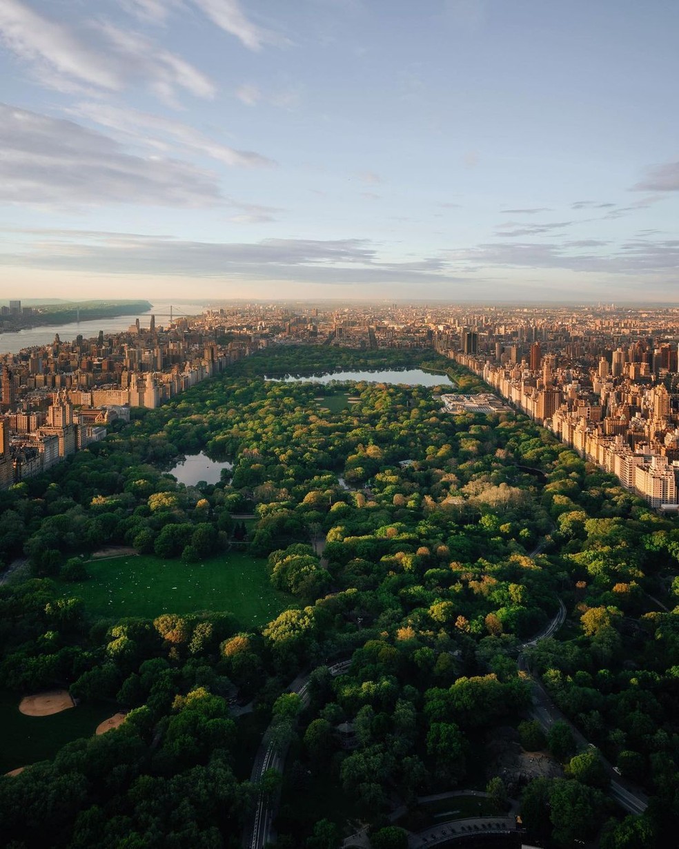Apartamentos dão vista para o Central Park — Foto: Reprodução/Instagram @theplazahotel