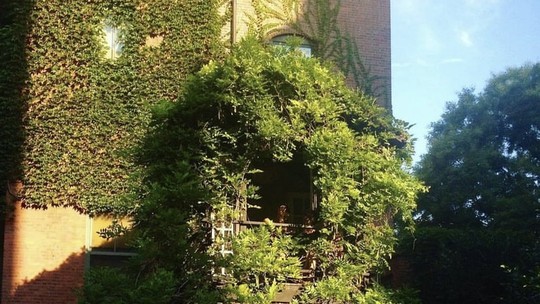 Viralizou: Casa na árvore é oásis secreto em meio a Nova York