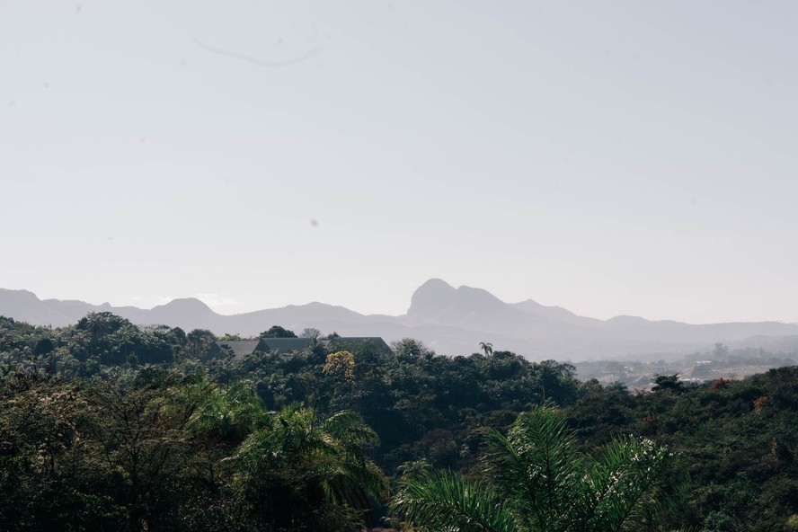 Museu Bernardo Paz: novo projeto em Brumadinho amplia o encontro entre ...