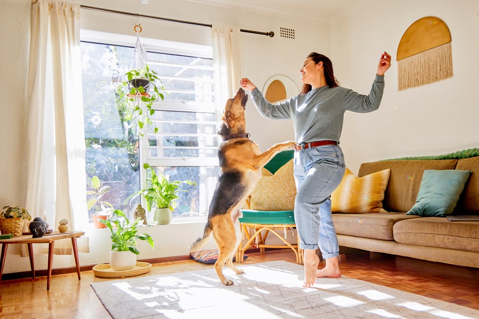Espaços adaptados para o pets melhoram a qualidade de vida dos companheiros fiéis — Foto: Getty Images