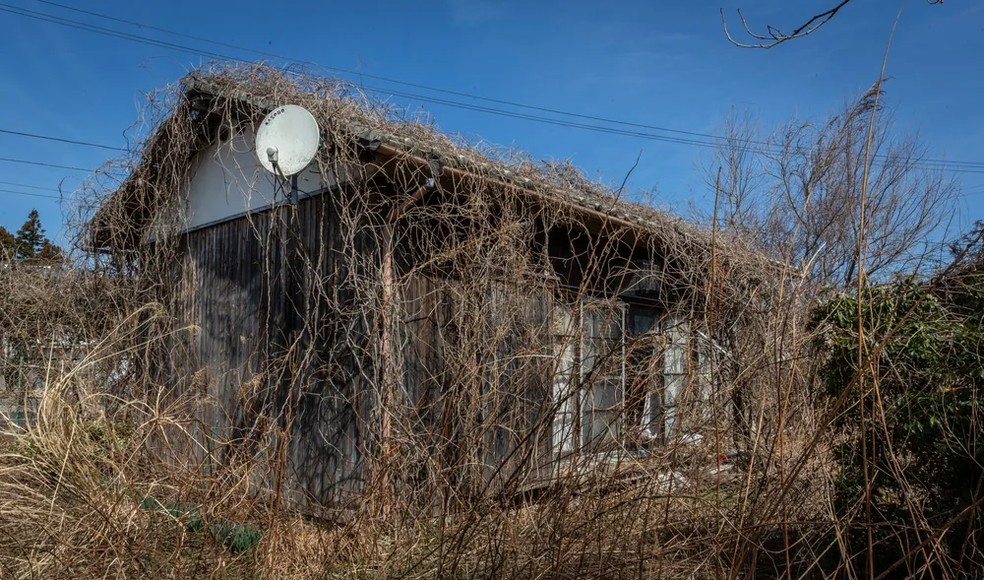 Sem uso, algumas das casas abandonadas no Japão estão sendo cobertas pela vegetação — Foto: Getty Images