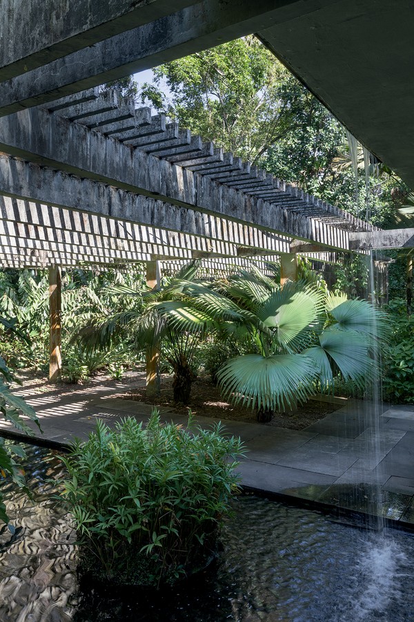 Sítio Roberto Burle Marx: a expressão máxima do paisagista no Rio de ...