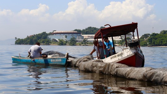 Como este projeto está despoluindo a Baía de Guanabara