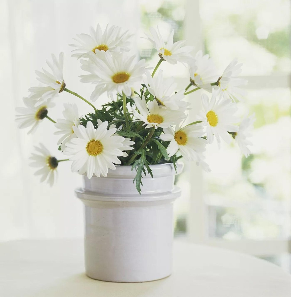 Como usar o baguá para curar a casa com plantas e flores (Foto: Getty Images) — Foto: Casa Vogue