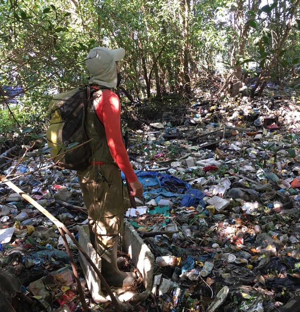 Área de manguezal também sofre com acúmulo de lixo — Foto: Reprodução/Instagram @orlasemlixo