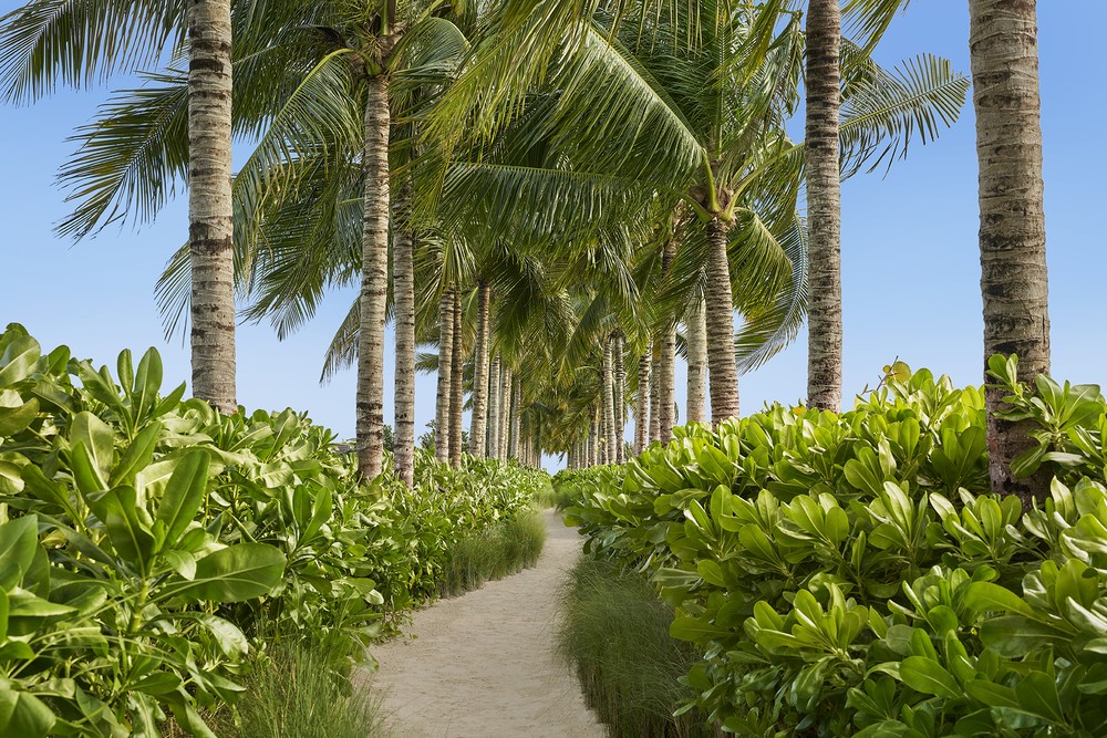 Hotel na Riviera Maia é verdadeiro oasis que preserva a flora e fauna ...