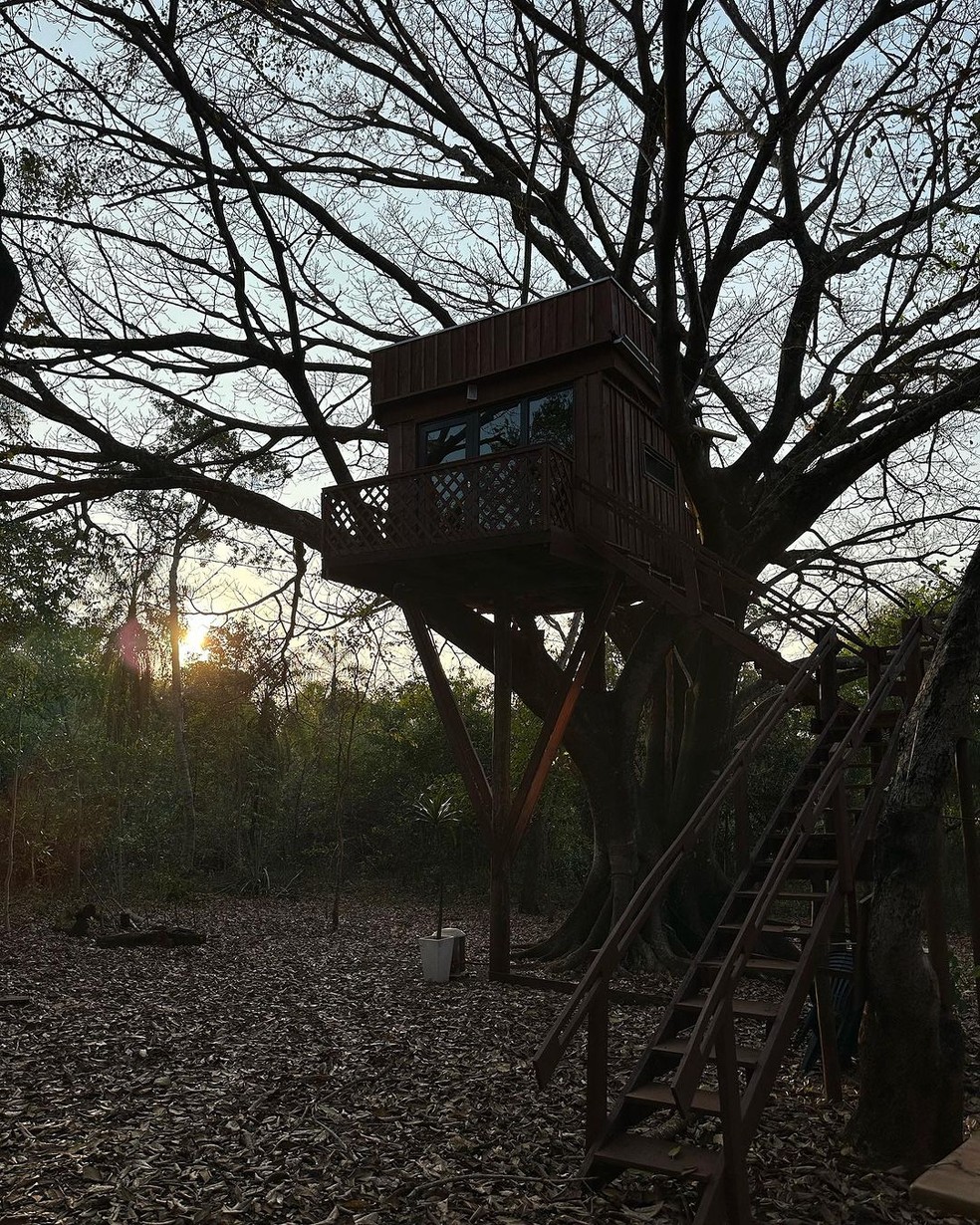 Filhos deThais Fersoza e Michel Teló ganham casa na árvore em fazenda — Foto: Reprodução/Instagram