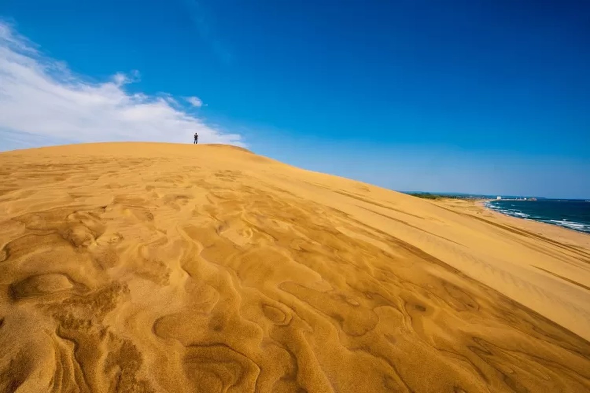 鳥取砂丘 消滅の危機にある日本の「砂漠」に出会う | 旅
