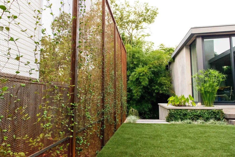 Este jardim vertical da Eden Garden Design anima a cerca em um quintal — Foto: Greg Thomas