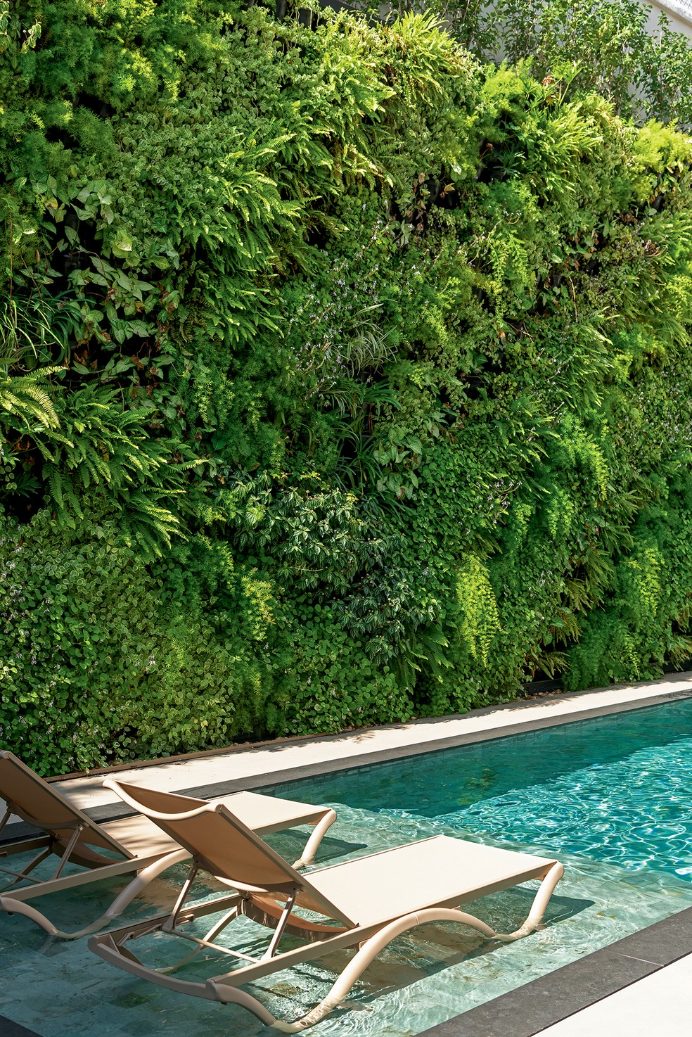 Na área externa, a piscina e o jardim vertical recebem a luz solar — Foto: Wesley Diego Emes