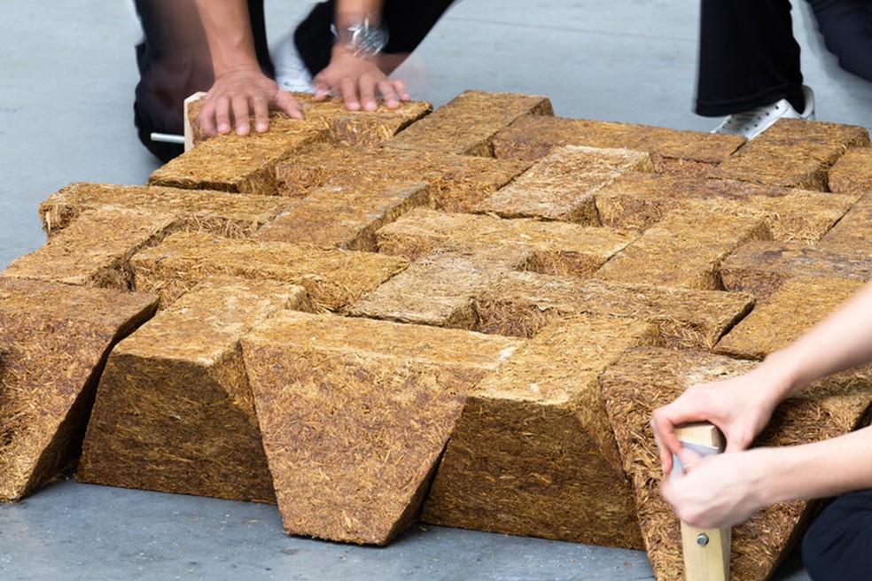 Pesquisadores criam concreto feito de cana-de-açúcar — Foto: Divulgação/Sugarcrete