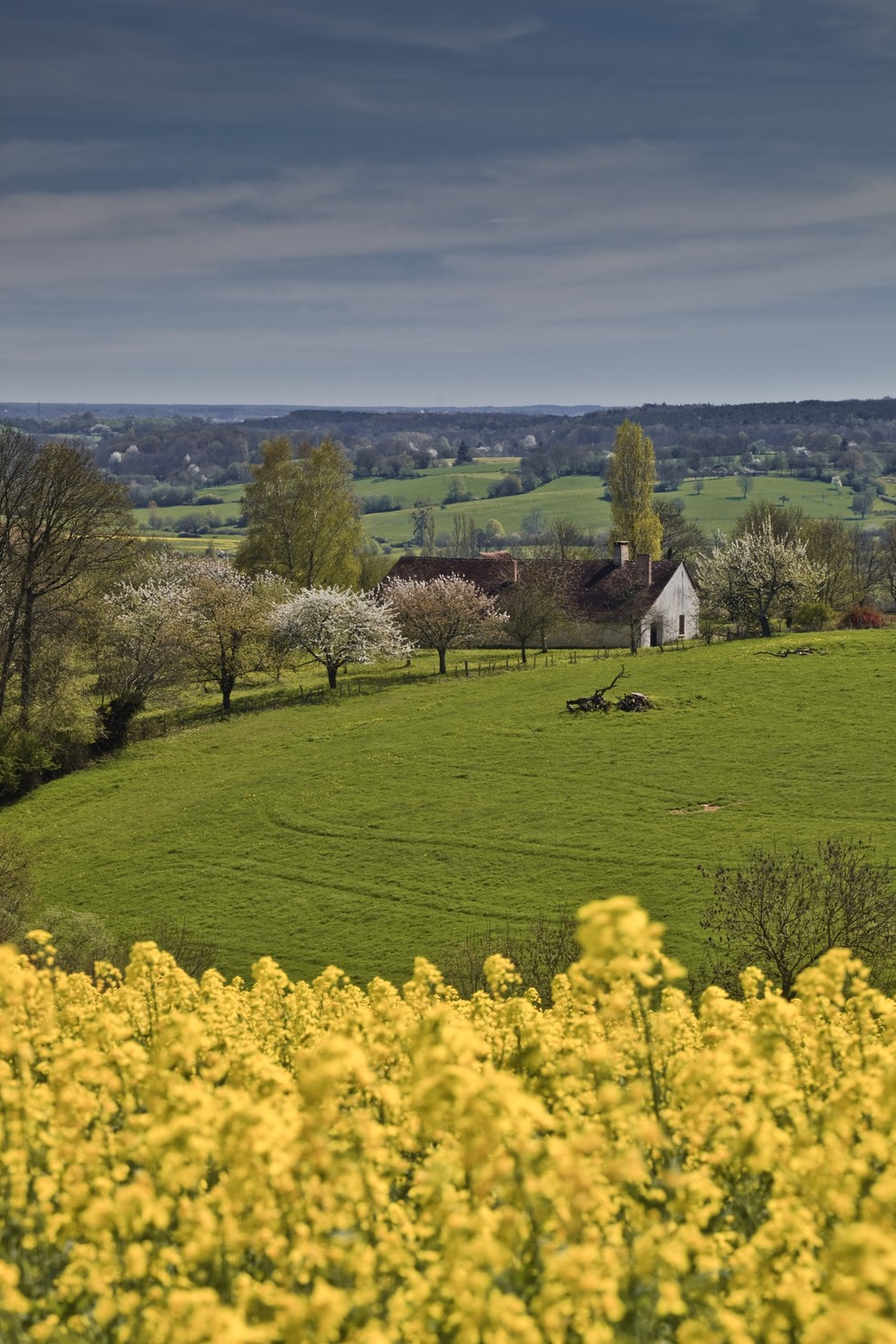 Normandie-Maine, na França — Foto: Getty Images/Julian Elliott Photography