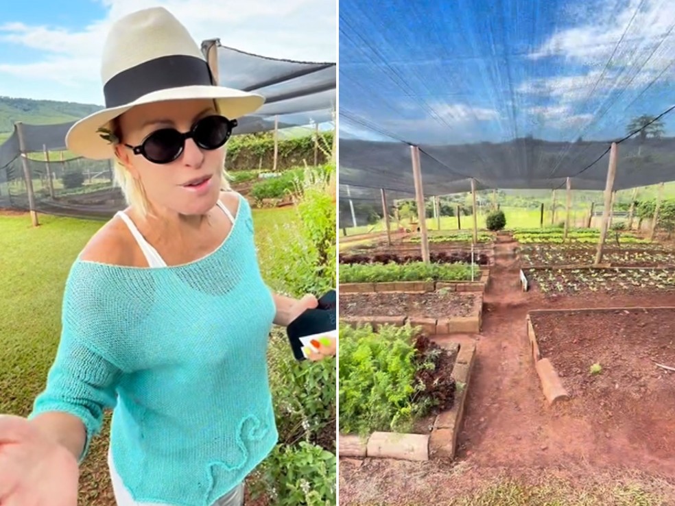 Ana Maria Braga mostra orgulhosa sua horta em fazenda de 376 hectares — Foto: Reprodução/@anamariabragaoficial