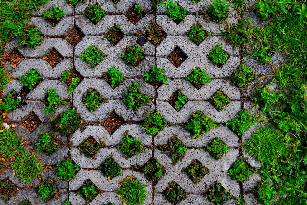 A grama é plantada entre os espaços do concregrama, garantindo permeabilidade ao solo — Foto: Getty Images